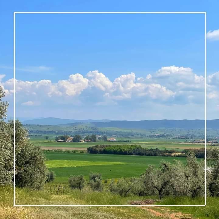 Agriturismo I Grappoli Alberese Bagian luar foto